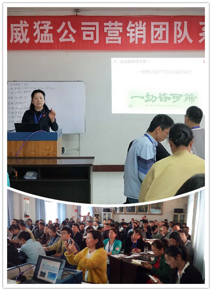 �й���9091����÷(�ɷ�)���޹�˾-�ٷ���վ