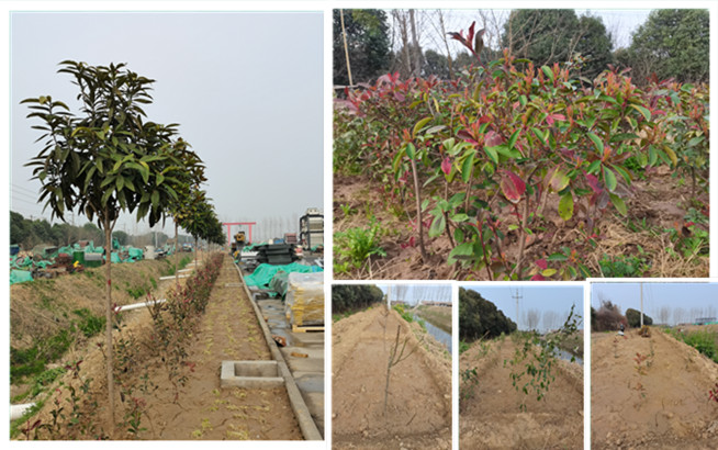 �й���9091����÷(�ɷ�)���޹�˾-�ٷ���վ