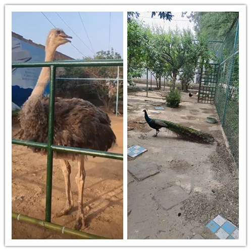 Öйú¡¤9091ÃÀ¸ß÷(¹É·Ý)ÓÐÏÞ¹«Ë¾-¹Ù·½ÍøÕ¾